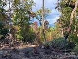 TBD Parkwood Hill Road - Photo 19
