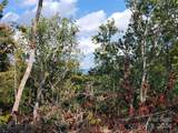 TBD Parkwood Hill Road - Photo 33