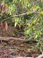 TBD Parkwood Hill Road - Photo 42