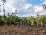 TBD Parkwood Hill Road - Photo 44