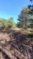 00 Double Eagle Drive - Photo 17