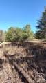 00 Double Eagle Drive - Photo 18