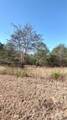 00 Double Eagle Drive - Photo 27