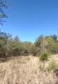 00 Double Eagle Drive - Photo 41