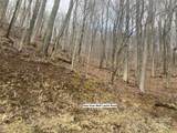 TBD Fox Den Road - Photo 9