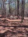 Tract 1 Holbert Cove Road - Photo 13