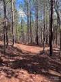 Tract 1 Holbert Cove Road - Photo 14