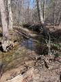 Tract 1 Holbert Cove Road - Photo 6