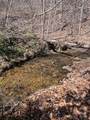 Tract 1 Holbert Cove Road - Photo 7