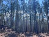 Tract 1 Holbert Cove Road - Photo 8