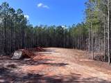 Tract 1 Holbert Cove Road - Photo 9