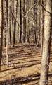 Lot 30 Laurel Valley Drive - Photo 3