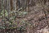 Lot 30 Laurel Valley Drive - Photo 4