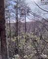 Lot 30 Laurel Valley Drive - Photo 9