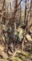 Lot 30 Laurel Valley Drive - Photo 10