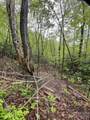 0 Dodgen Ridge Road - Photo 18