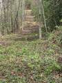 0 Dodgen Ridge Road - Photo 6