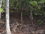 Lot 5 Horseshoe Bluff - Photo 11