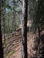 Lot 5 Horseshoe Bluff - Photo 12