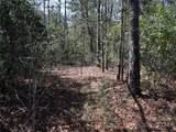 Lot 5 Horseshoe Bluff - Photo 10