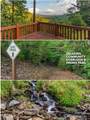 Lot 9 Wilderness Creek Way - Photo 11