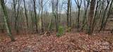 Lot 9 Wilderness Creek Way - Photo 6