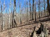Lot 15 Red Wolf Run - Photo 6