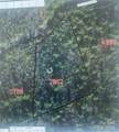 Lot 11 Fox Ridge Trail - Photo 12