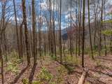 00 Sheepback Mountain Road - Photo 10
