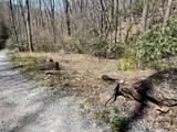 000 Pisgah Mountain Road - Photo 3
