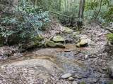 8636 Sleepy Hollow Road - Photo 19