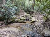 8624 Sleepy Hollow Road - Photo 31