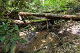 Tract A Rock Creek Road - Photo 12