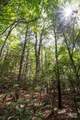 Tract A Rock Creek Road - Photo 14