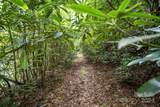 Tract A Rock Creek Road - Photo 15