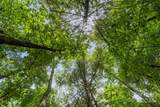 Tract A Rock Creek Road - Photo 6