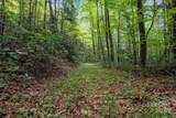 Tract A Rock Creek Road - Photo 7