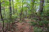 Tract A Rock Creek Road - Photo 9