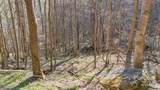 Lot 33 Deer Rock Road - Photo 11