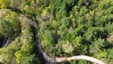 TBD Flat Ridge Road - Photo 1