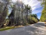 0 National Forest Drive - Photo 4