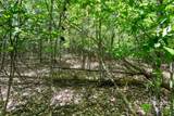 99999 Hickory Loop - Photo 8