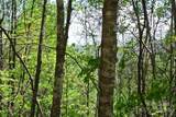 0 Pond Road - Photo 4