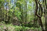 0 Pond Road - Photo 9