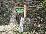 LOT 115 Campbell Mountain Drive - Photo 3
