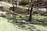 LOT 115 Campbell Mountain Drive - Photo 10