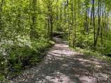 Lot 74 Black Rock Road - Photo 23