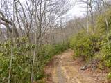 Lot 111 Cranberry Creek Road - Photo 10