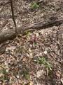 000 El Miner Drive - Photo 13