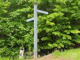 Lot 49 Bald Eagle Lane - Photo 3